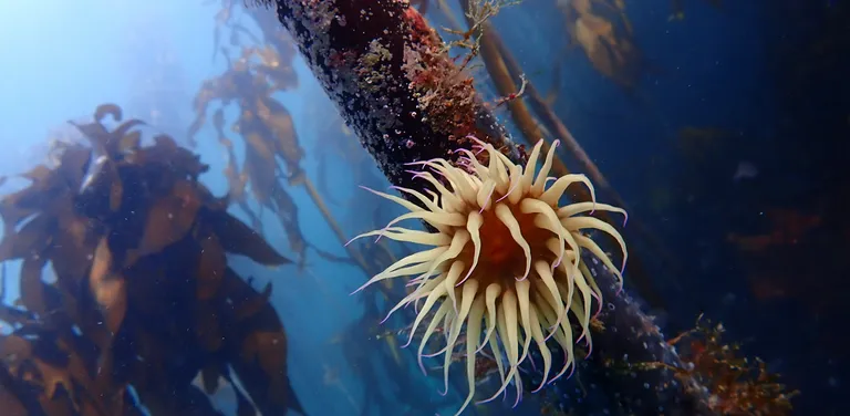 Marine Protected Areas Day