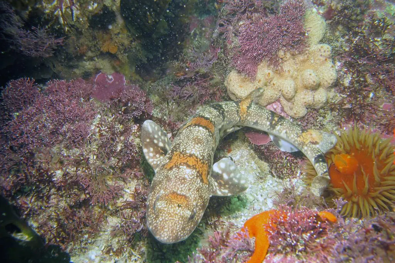 5284383987 0c4d4c1518 b