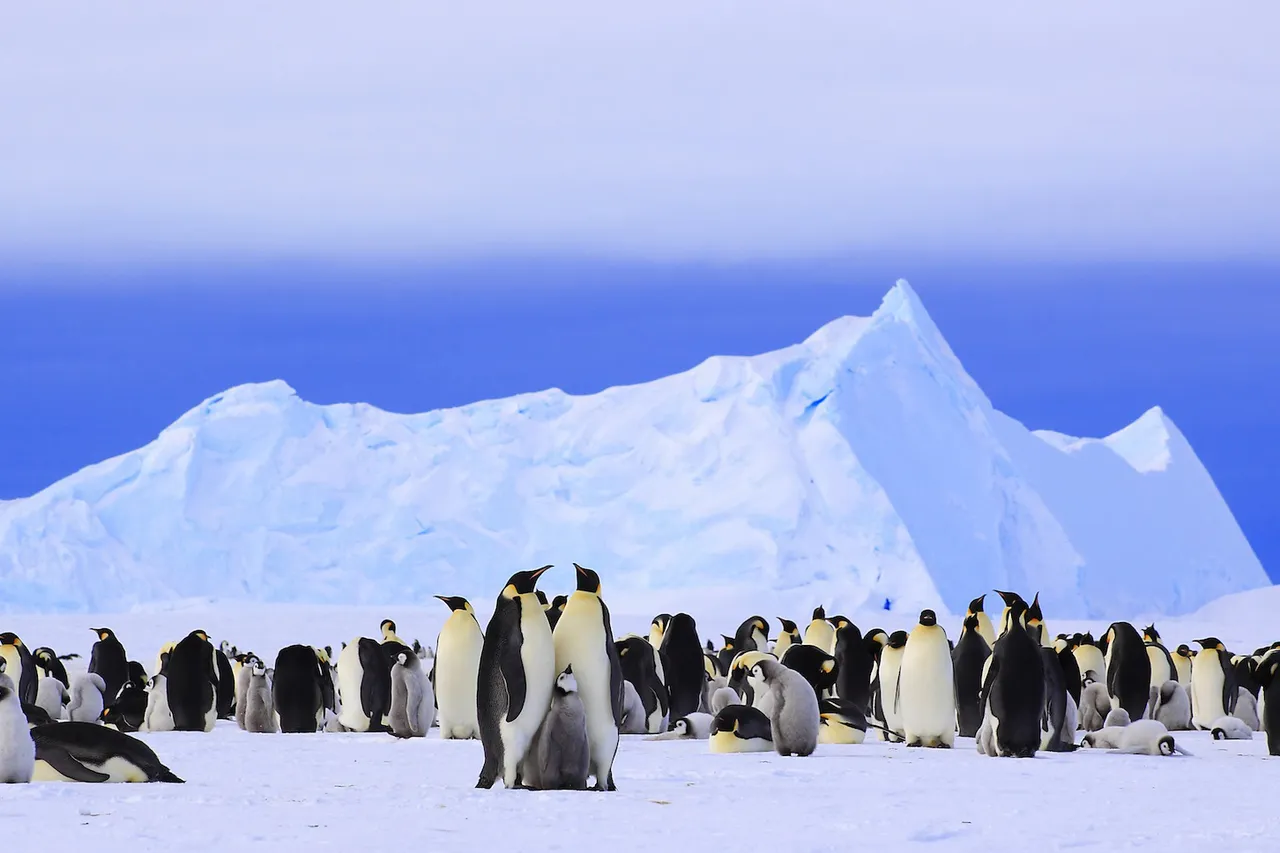 4605548035 39b60d3555 o