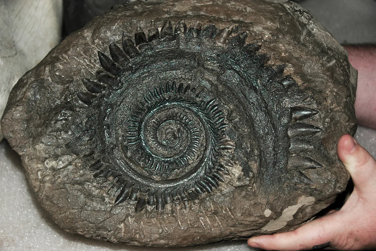 34327255626 93be04ca96 b