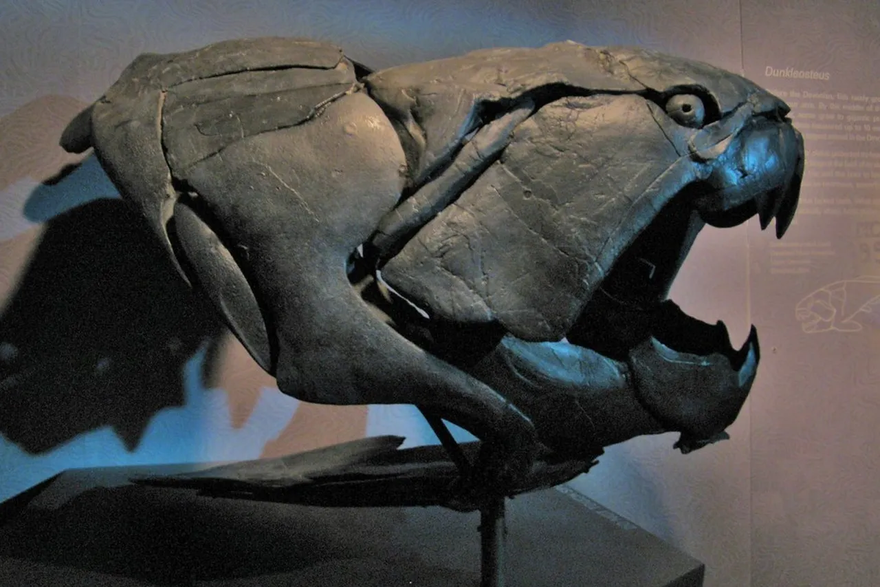 5040125114 e4cec1bc50 b