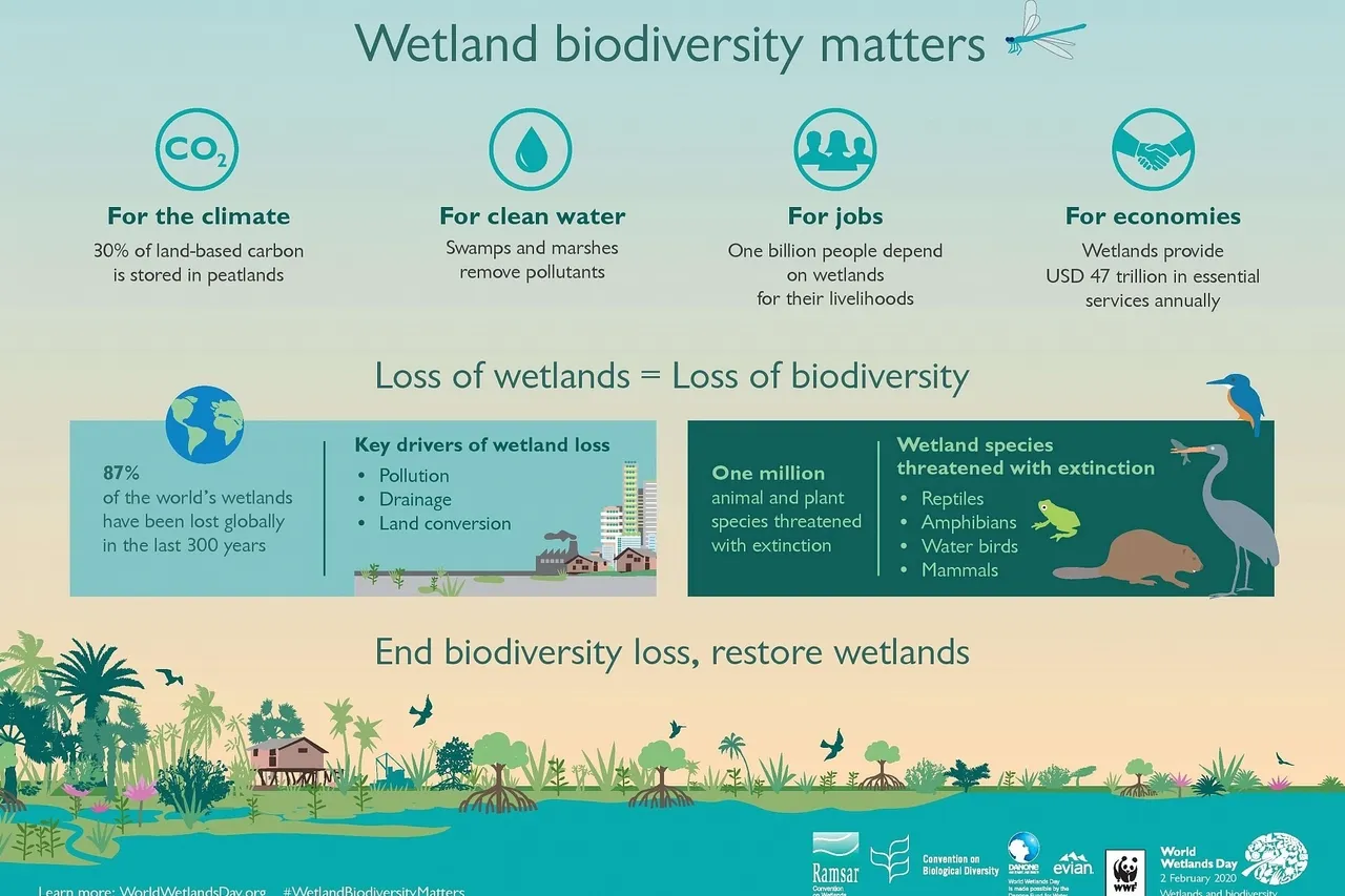 WWD20 Infographic E HR page 001