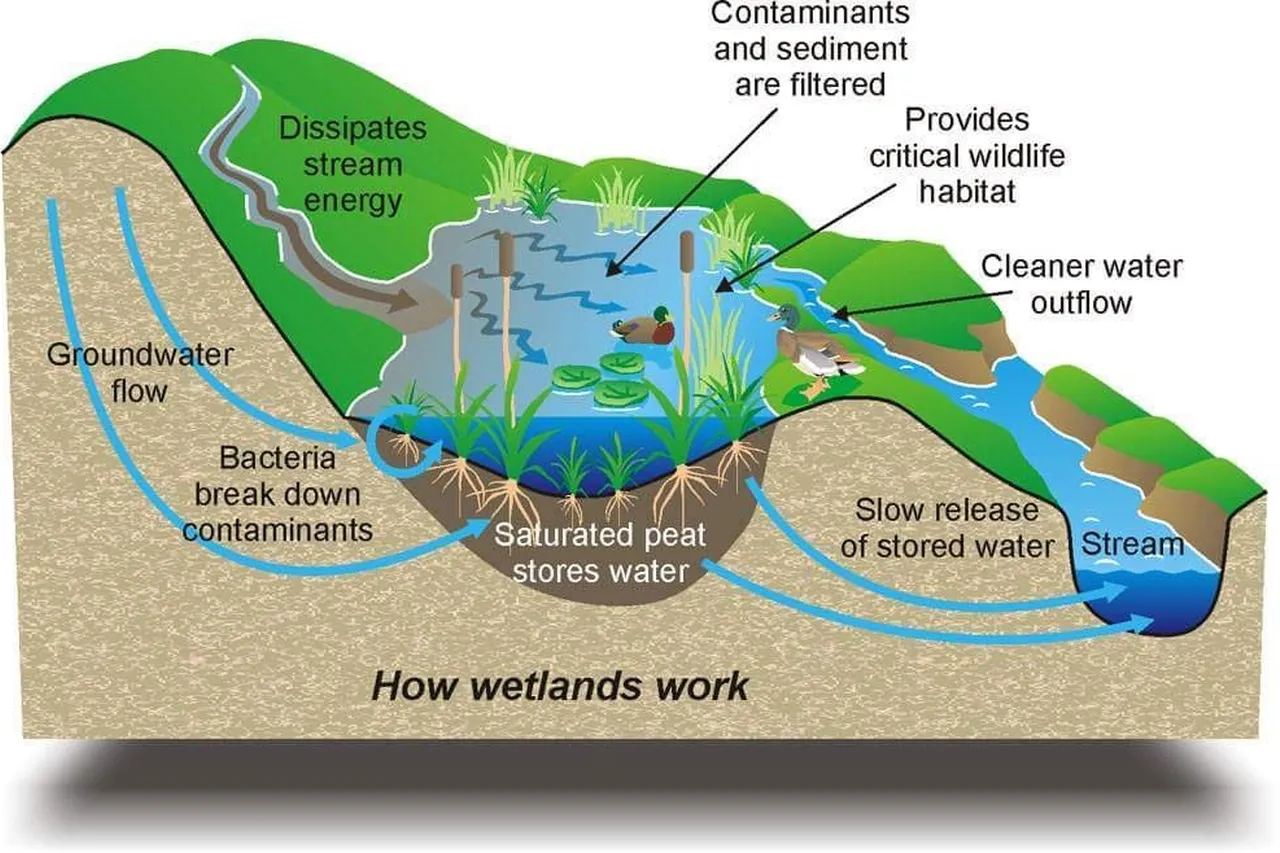 Ca N1s PQW0 A An GA2