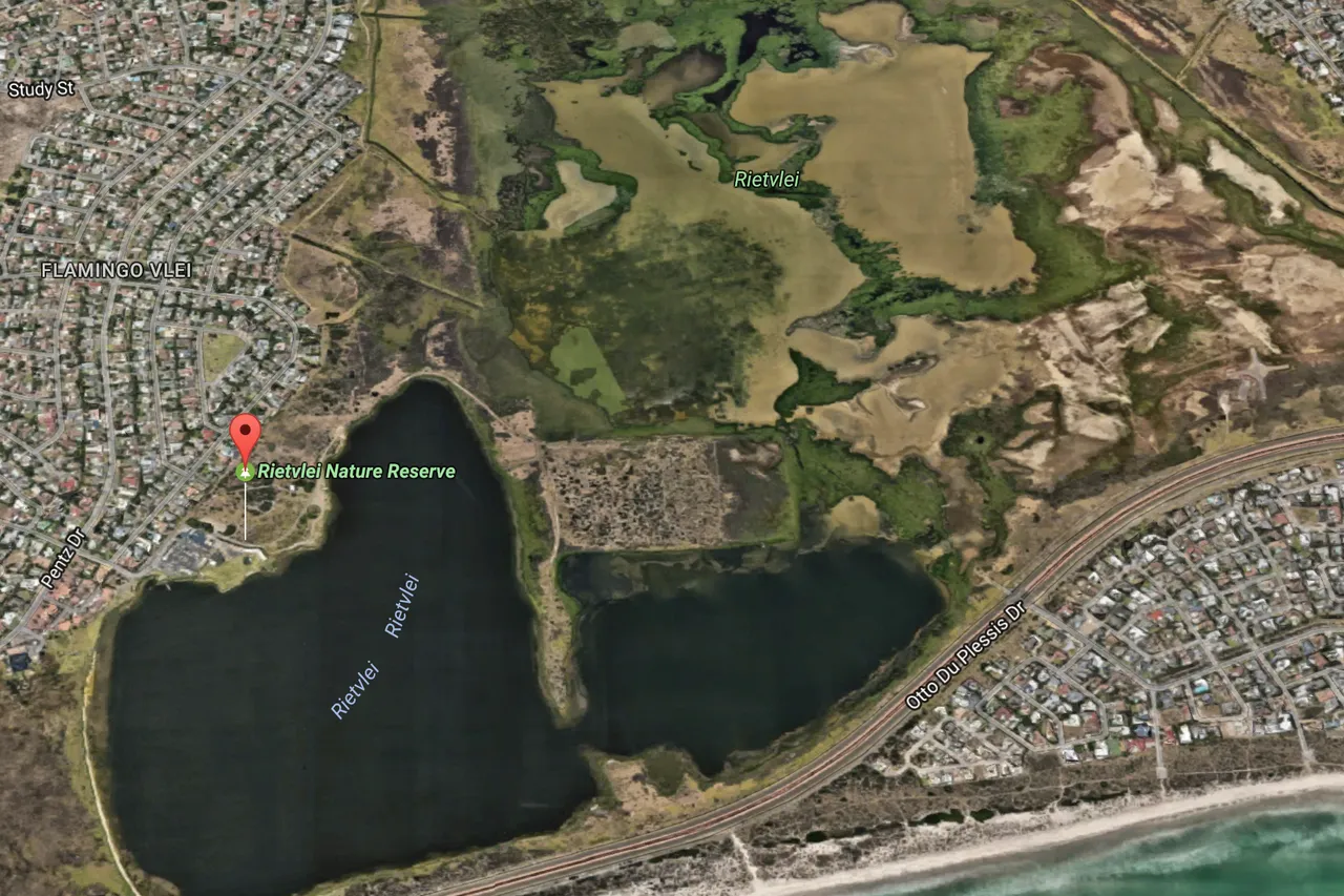 Screen Shot 2017 01 27 at 3 55 16 PM