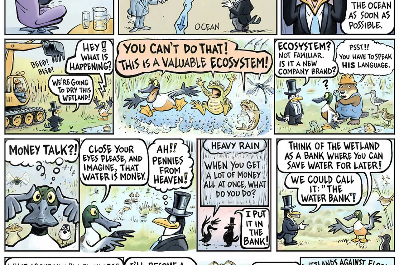 Ramsar 2017 v ok 900px