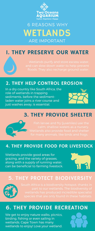 Wetlands southafrica