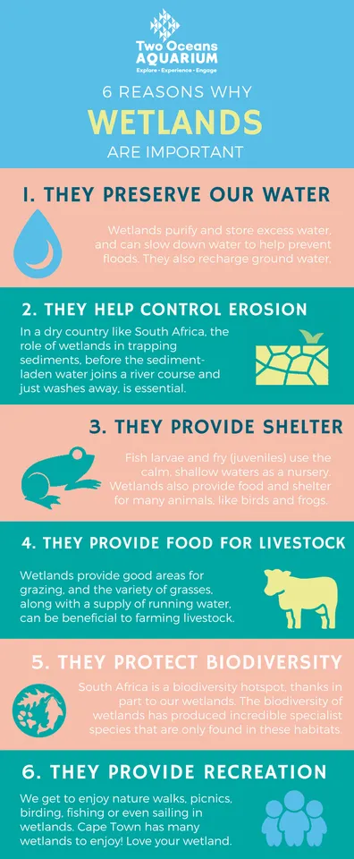 Wetlands southafrica