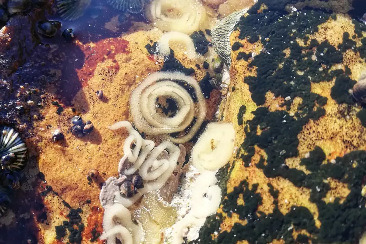 IMG 20220308 072532 913