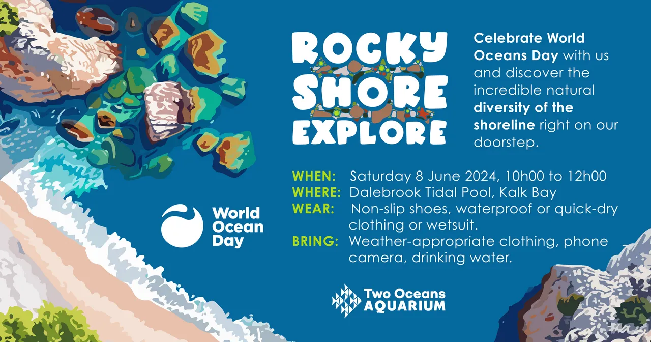 ROCKYSHOREEXPLORE TOA 2024 SOCIAL RECTANGLE