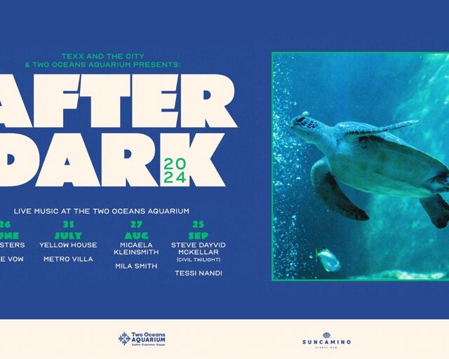 After Dark winter concerts at the Two Oceans Aquarium
