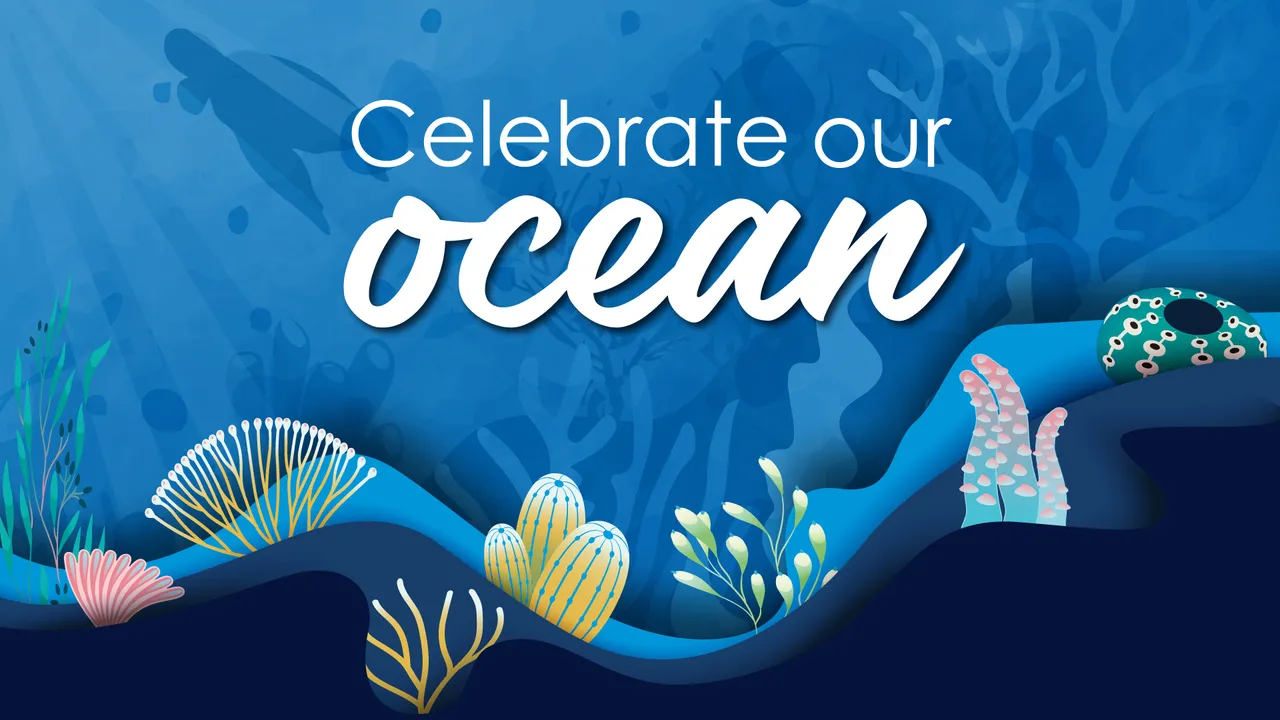 Celebrate our ocean with family fun at the Two Oceans Aquarium