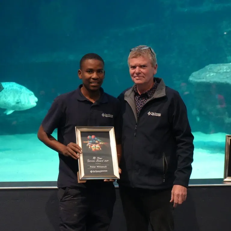 Two Oceans Aquarium Long Service Awards: Thank you for years of amazing work