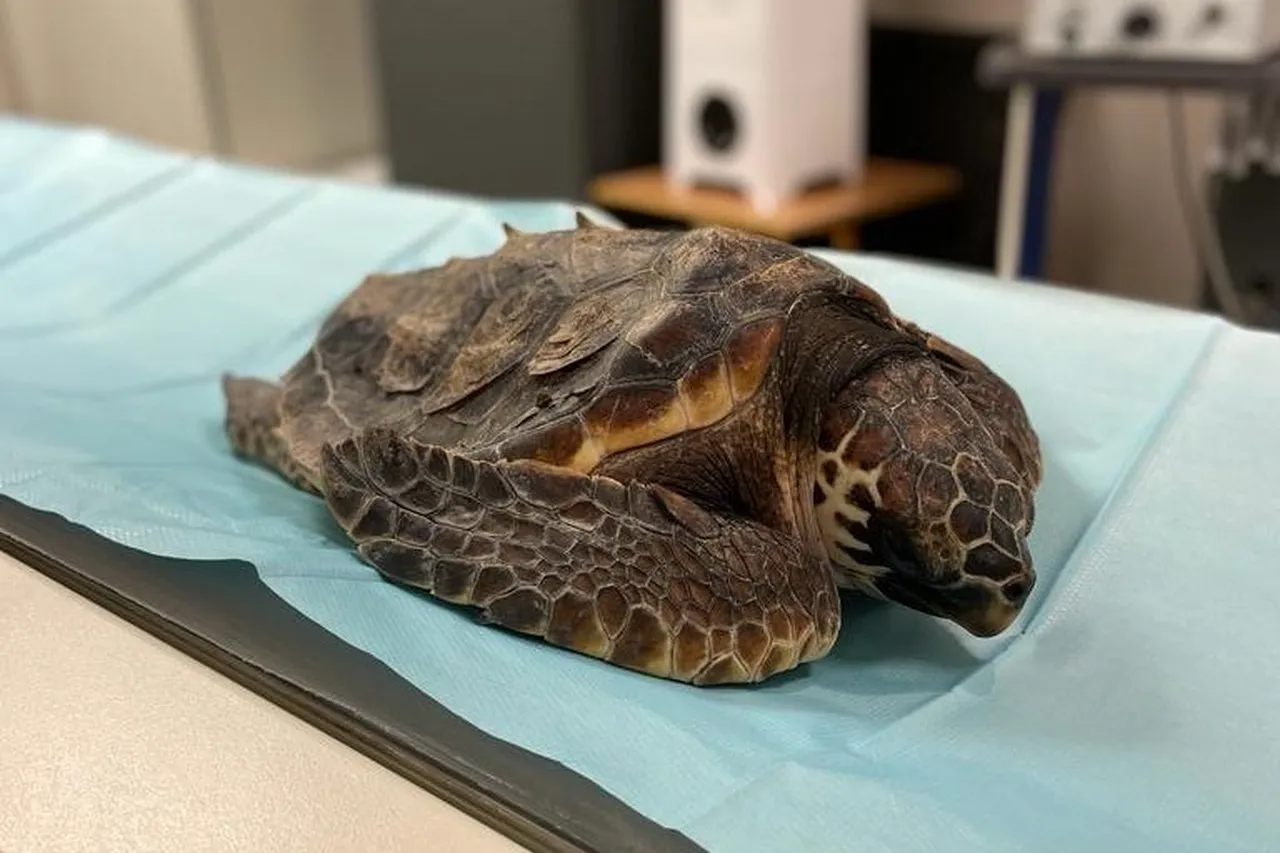 3f02ff57 4d2b 4a0e 918a 6eda5bec9e94 Medium