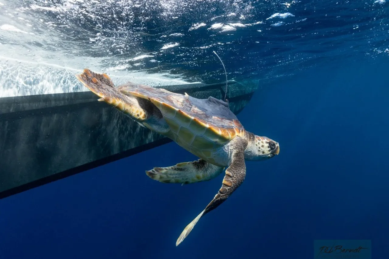 Facebook Ref 125 A0416 1 Medium