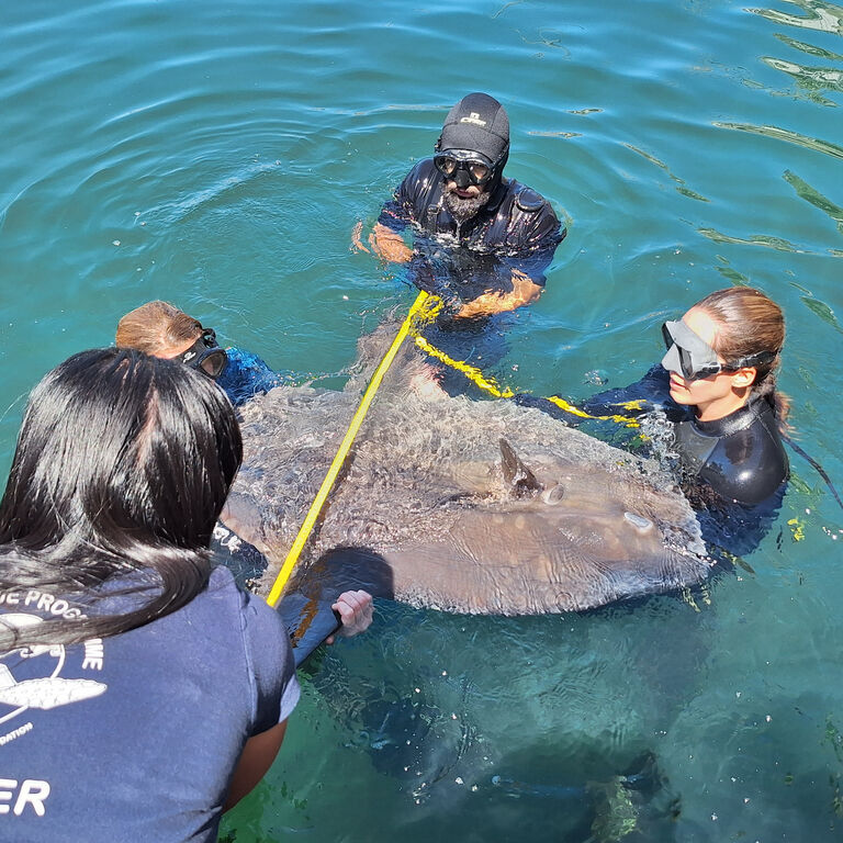 Marine Wildlife Management Programme