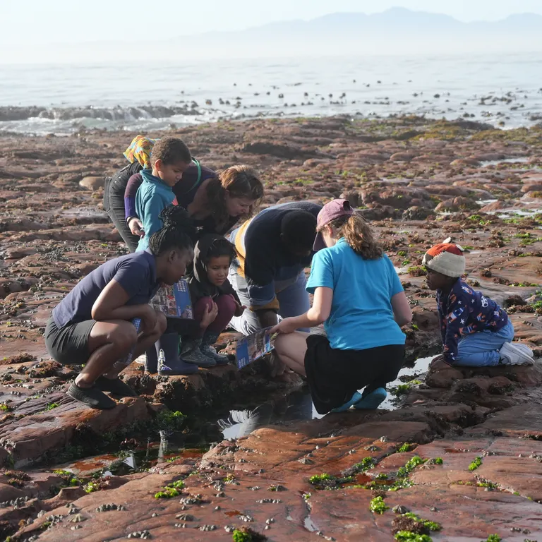 Marine Protected Areas Day