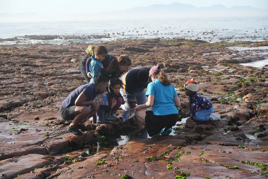 Marine Protected Areas Day