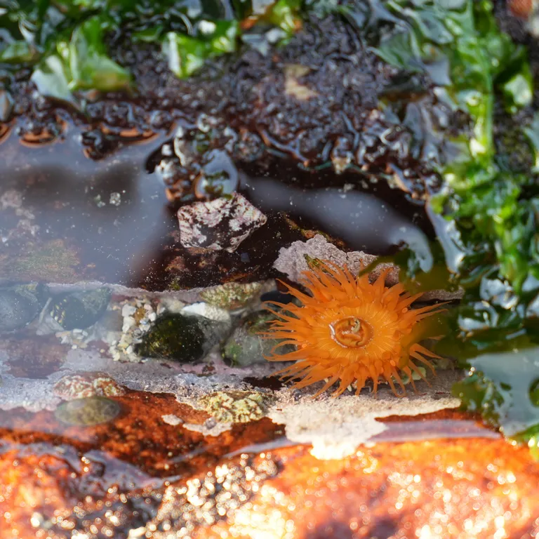 Marine Protected Areas Day