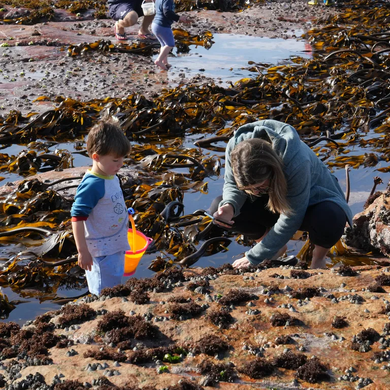 Marine Protected Areas Day