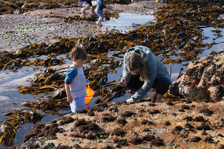 Our sustainability journey