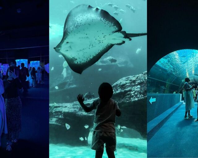 Your favourite Aquarium moments caught on camera
