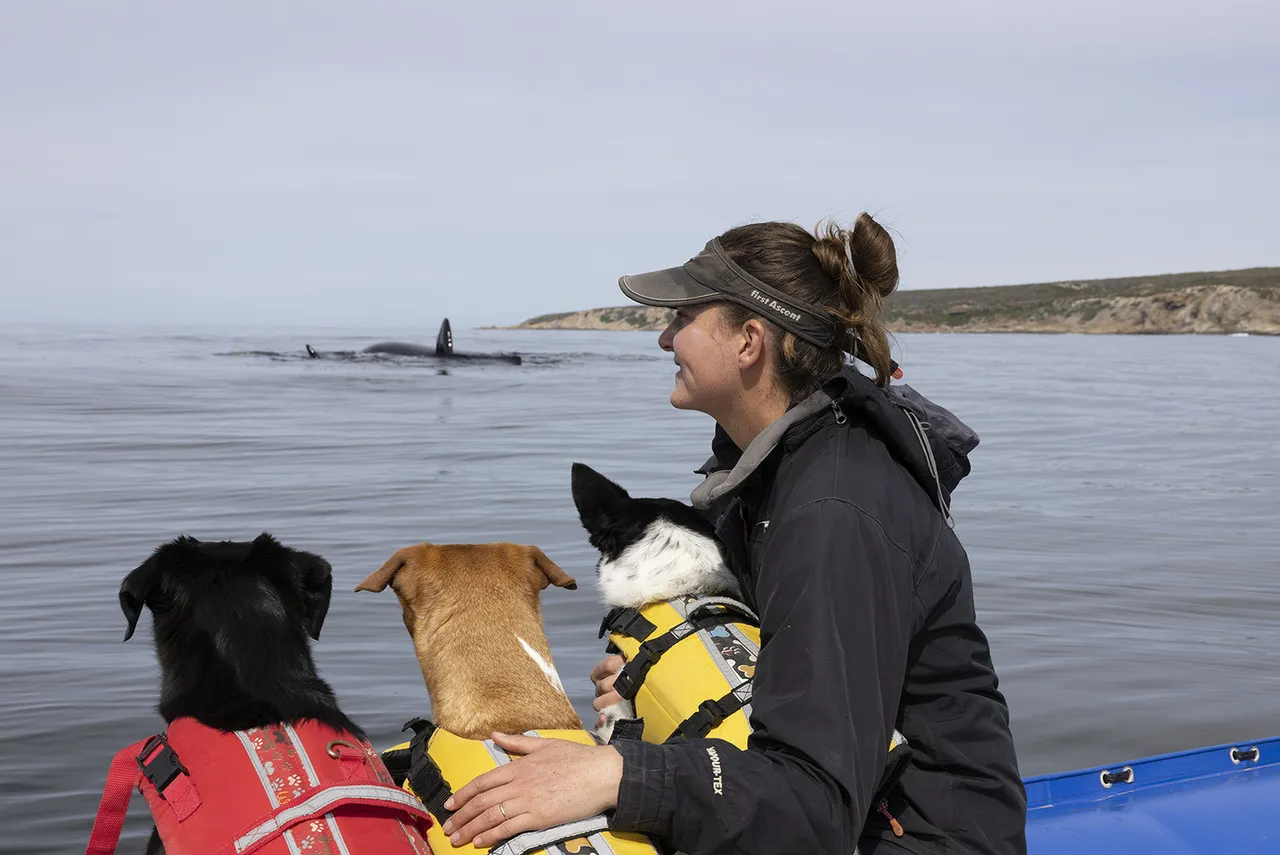 Meet the Fallows: Ocean storytellers with the cutest sidekicks!