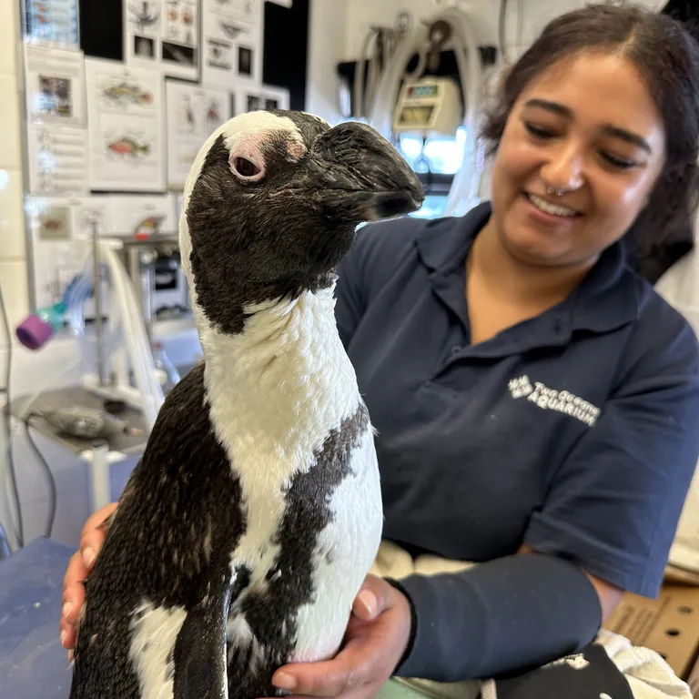 Happy Women's Day to some of our incredible ocean guardians!