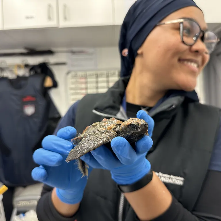 Happy Women's Day to some of our incredible ocean guardians!