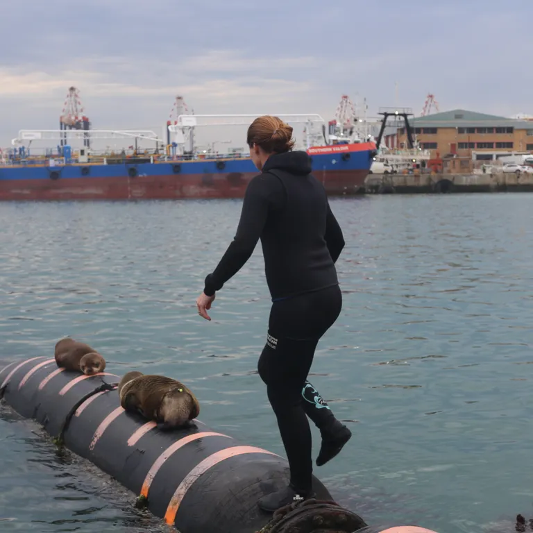 Happy Women's Day to some of our incredible ocean guardians!