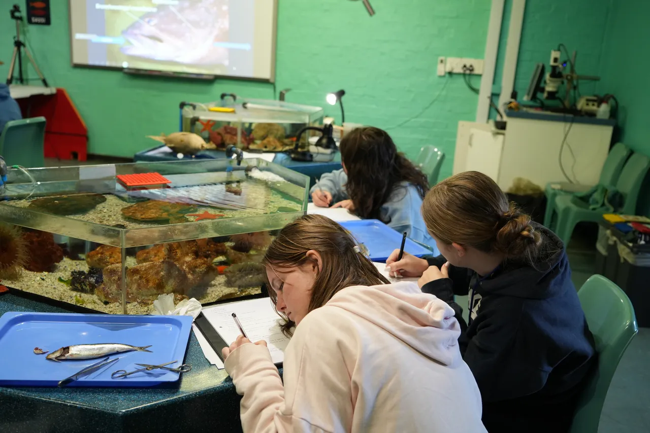 Grade 10 subject choices have never been easier - apply for Marine Sciences 2025 now!