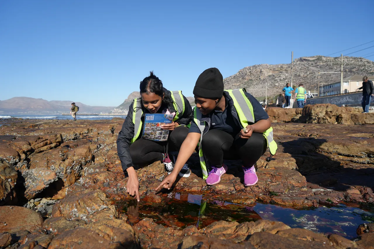 MPA Day 2024 grows into a global ocean conservation movement