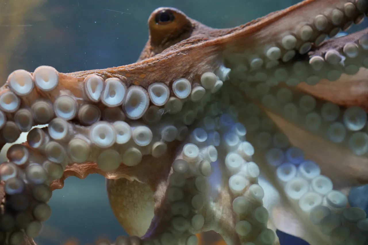 A year in research: Advancing conservation through collaboration