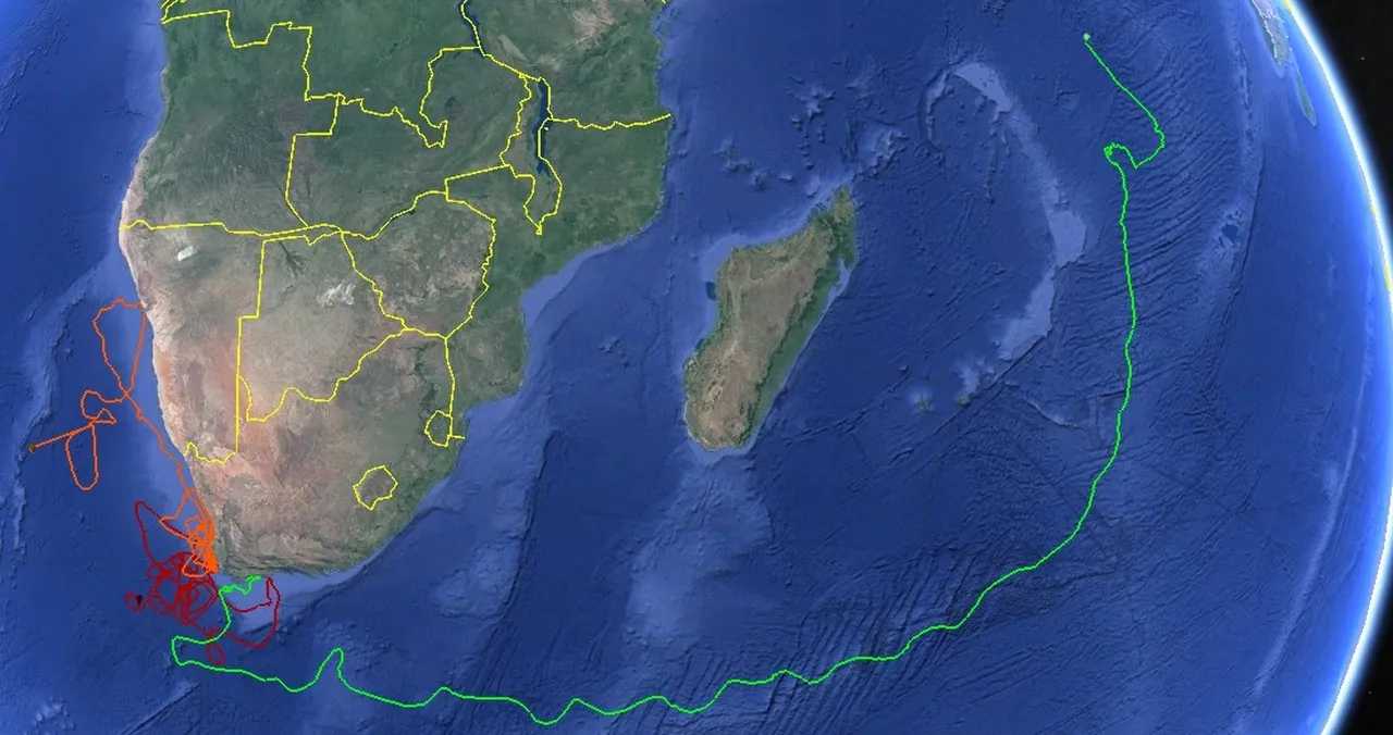 Tracking our Turtles: News from Bheni, Nobomvu, and Turbo