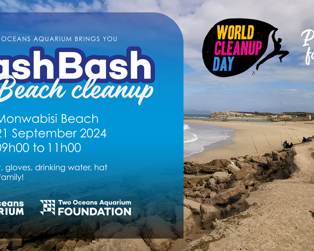 Celebrate World Cleanup Day with the Two Oceans Aquarium at Monwabisi Beach!
