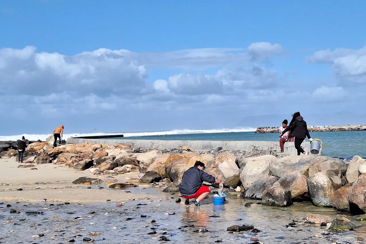 Two Oceans Aquarium 3