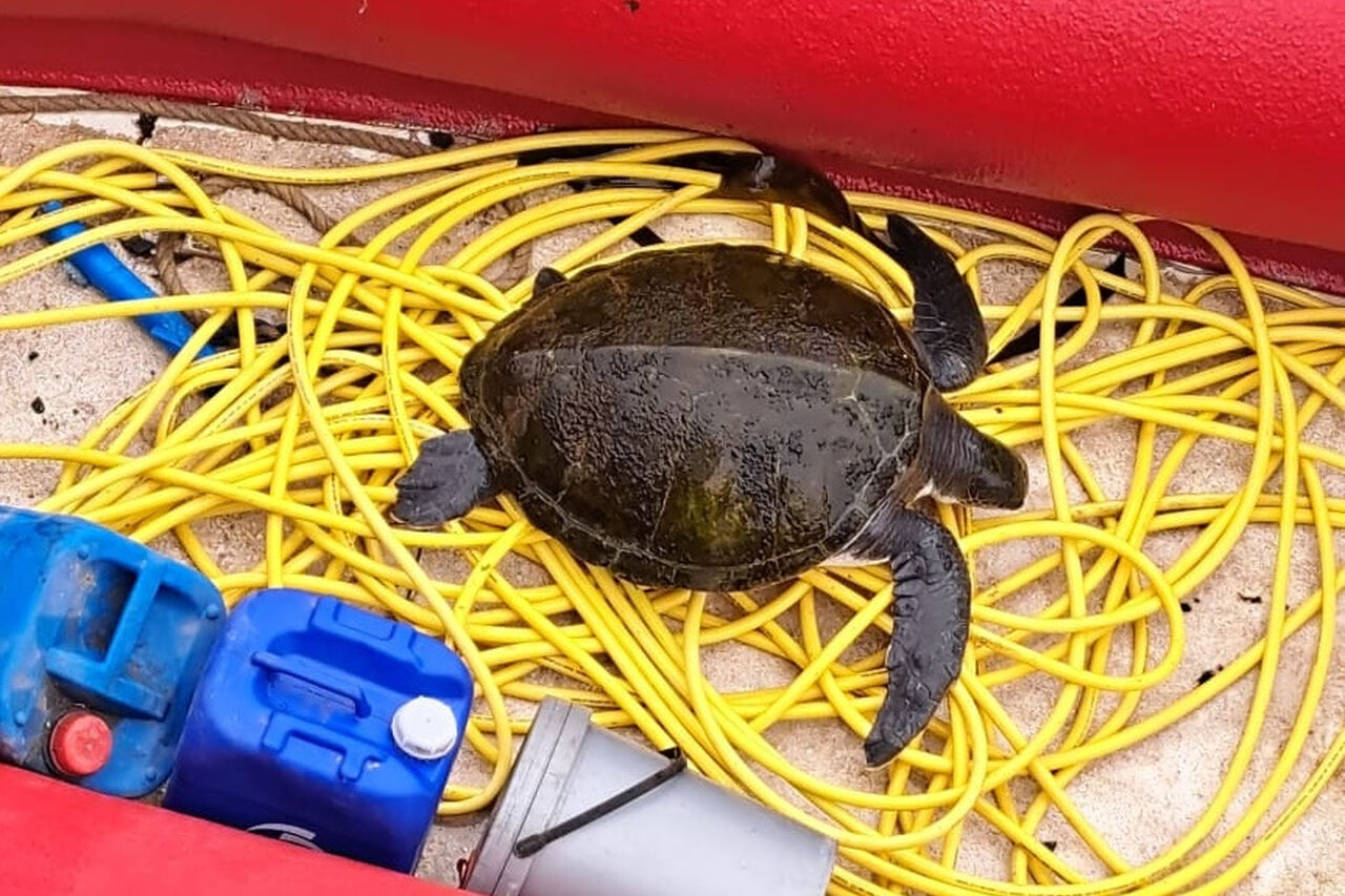 Fd1850aa e247 4e97 8466 ef8da1ab5faa copy