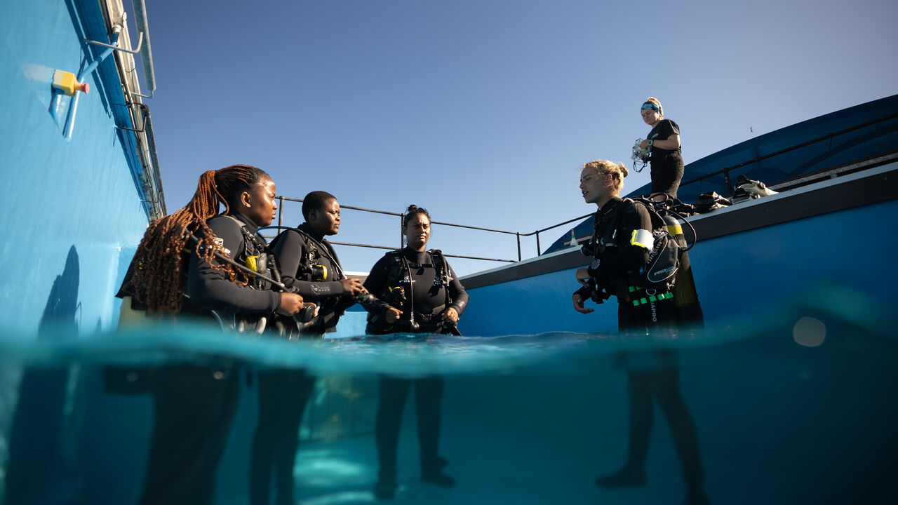PADI Scuba Diver Course