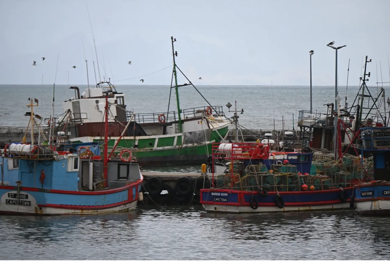 From ocean to plate: Driving sustainable seafood on the V&A Waterfront