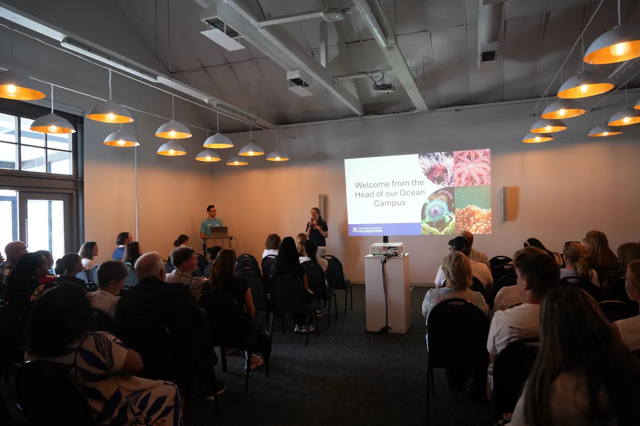 Two Oceans Aquarium 1