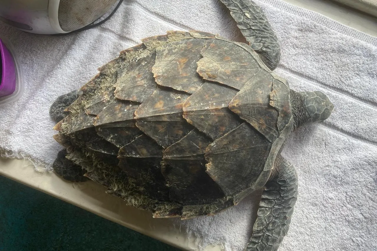 886e1b4c b867 46ad 989c 09d450d15dba