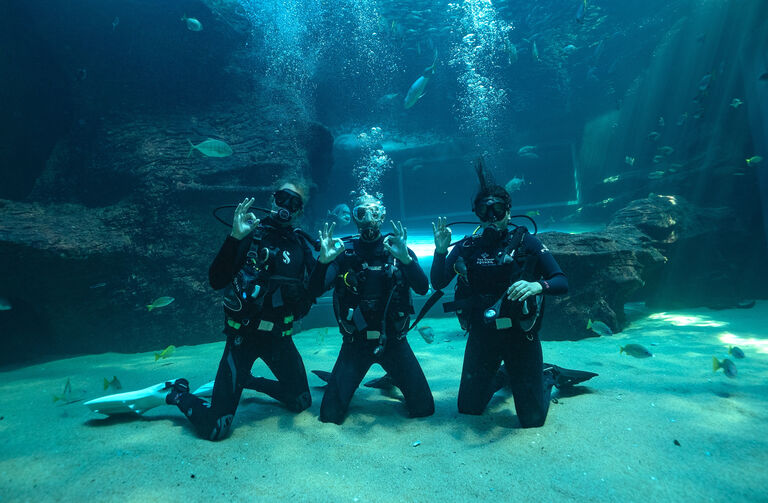 Two Oceans Aquarium: Media pack