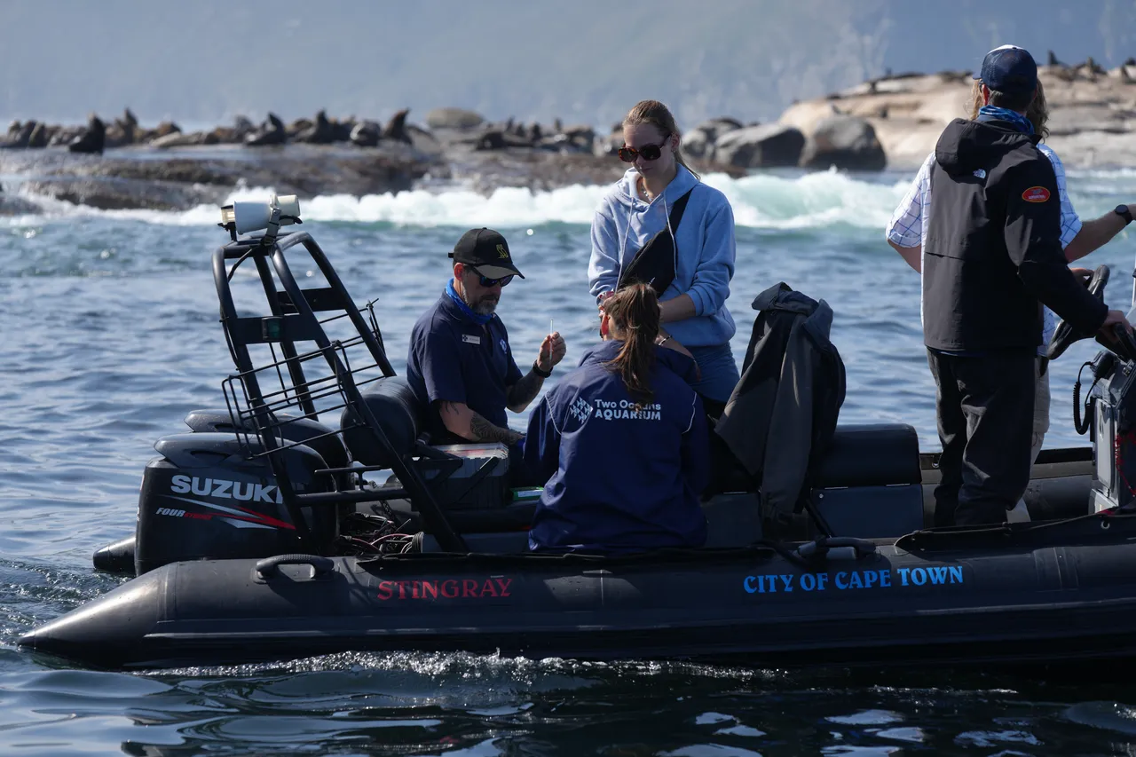 Matrix Images Nic Bothma Seals Vac 14