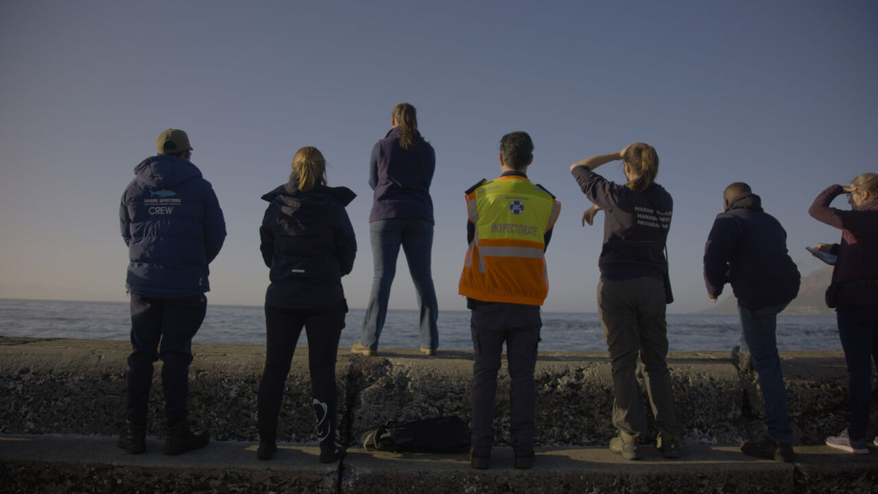 Working together to mitigate the effects of rabies among the Cape fur seals in the Western Cape