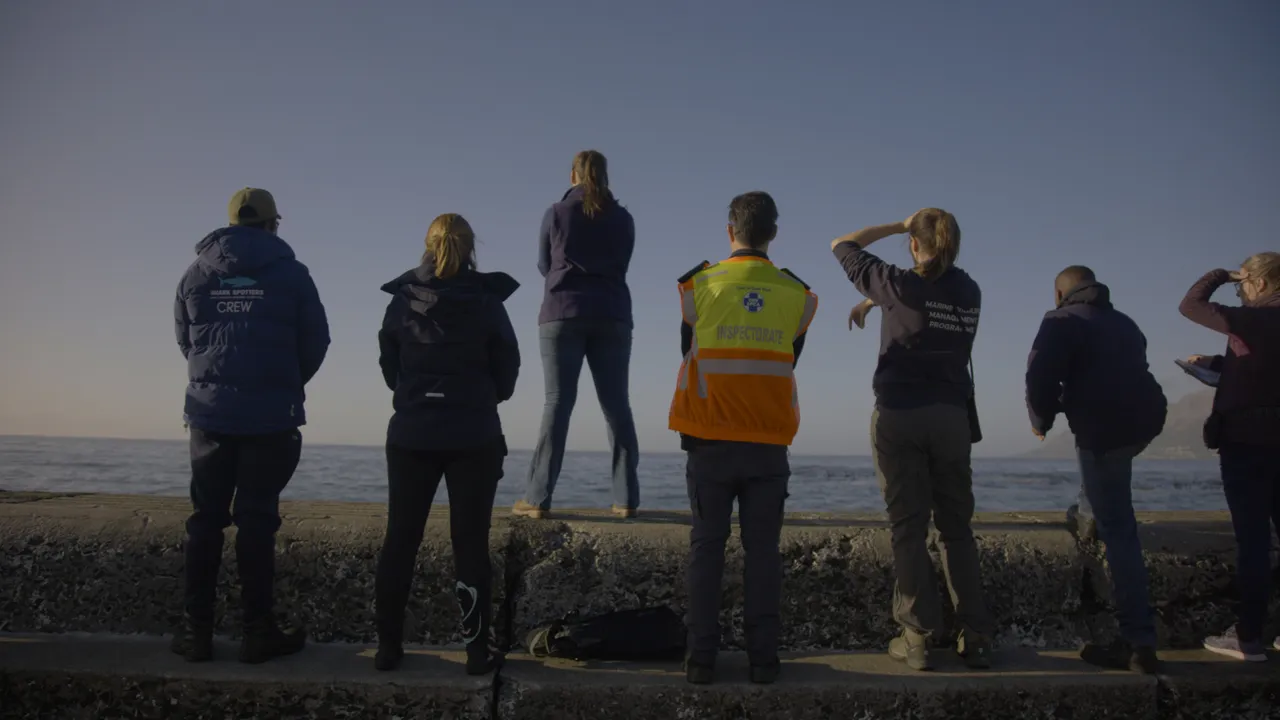 Working together to mitigate the effects of rabies among Cape fur seals in the Western Cape