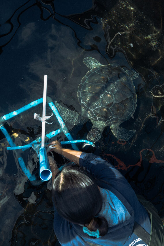 2 OAF Devin Trull SONY 4 of 25