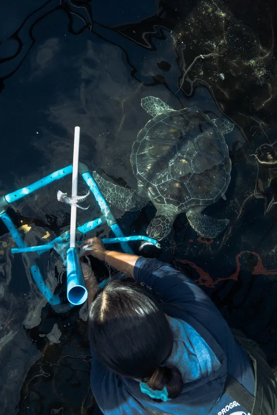 2 OAF Devin Trull SONY 4 of 25