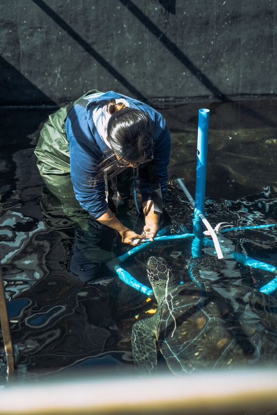 2 OAF Devin Trull SONY 5 of 25