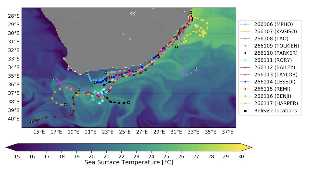 Credit Tony Candela 2