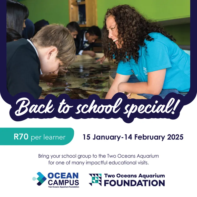 Back to School: Start the year with a lesson at the Two Oceans Aquarium!