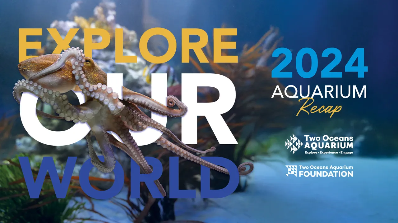 2024 recap: Fabulously fishy moments from the Two Oceans Aquarium